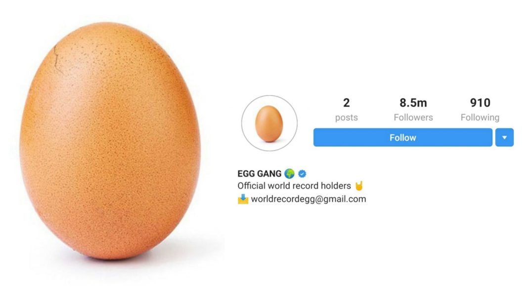 world record egg
