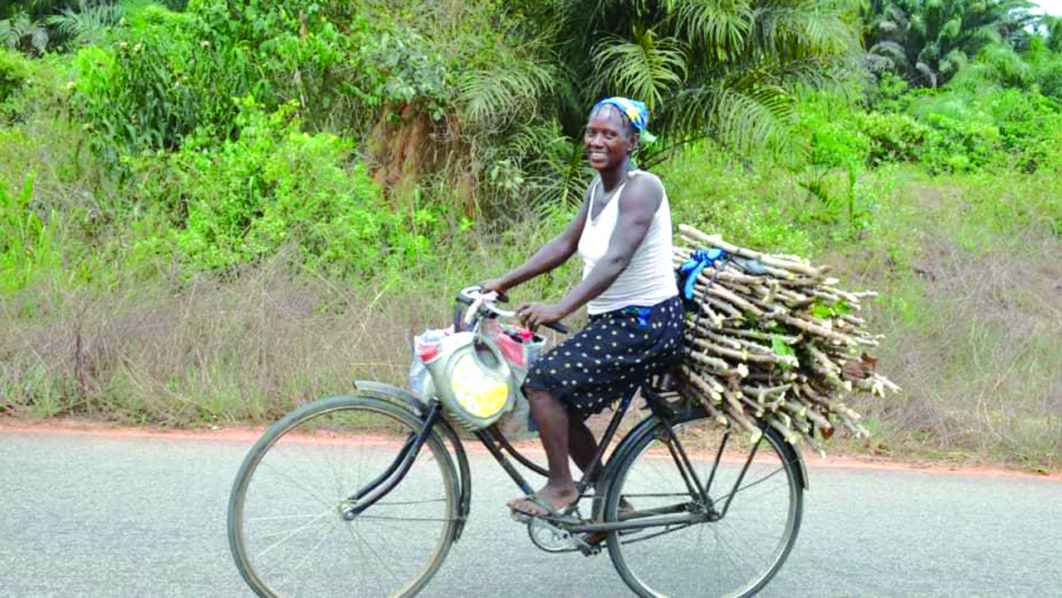 Farmer on election day 1