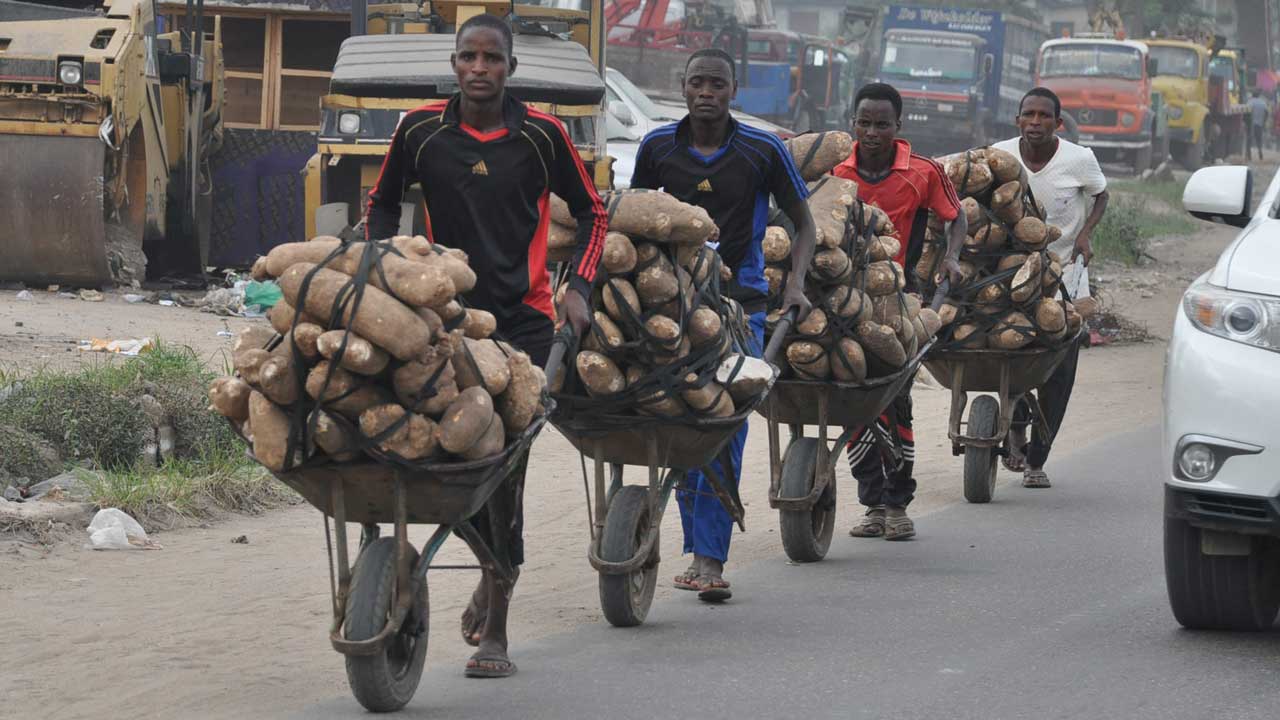 Yam-Market