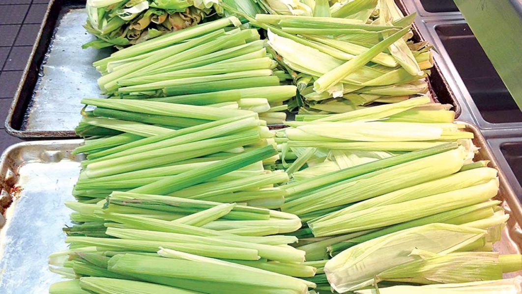 Corn-husk
