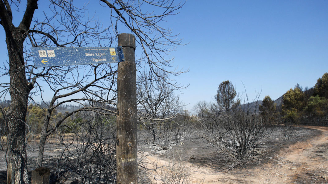 A sign that was damaged by fire is seen in a burnt forest near Boadella, at Emporda area in the Spanish province of Girona