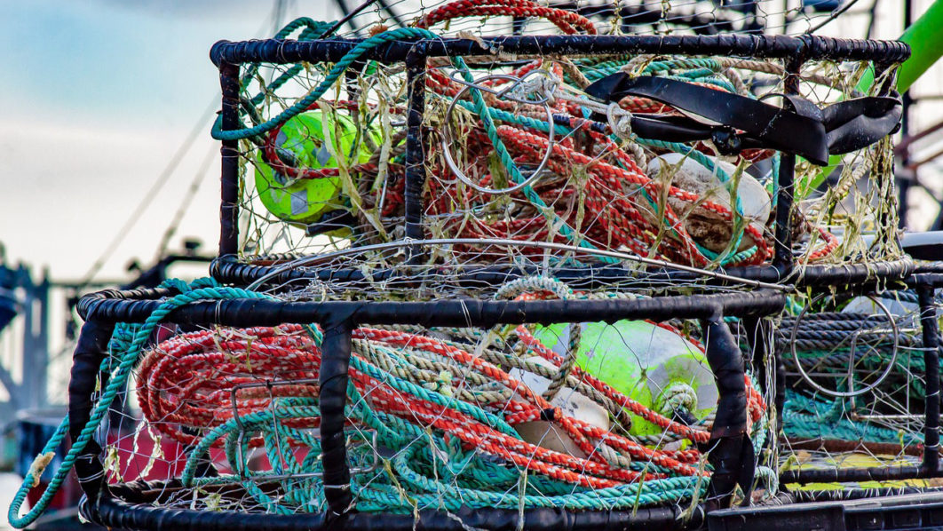 fishing-3916154_1280