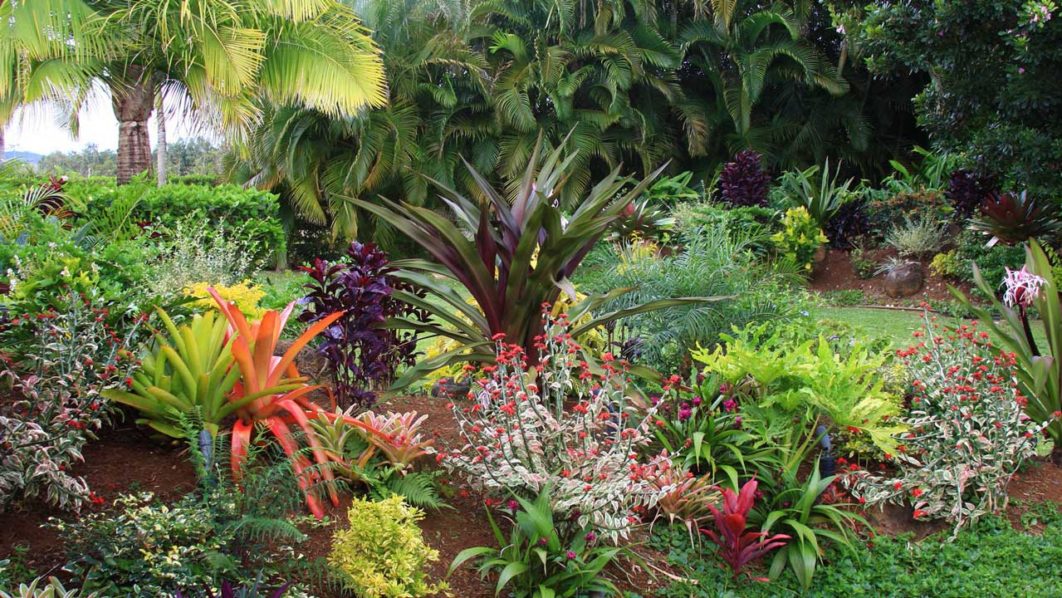 tropical-styled-garden