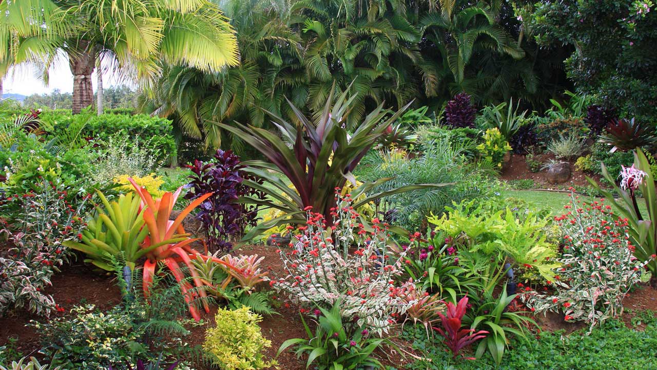 tropical-styled-garden
