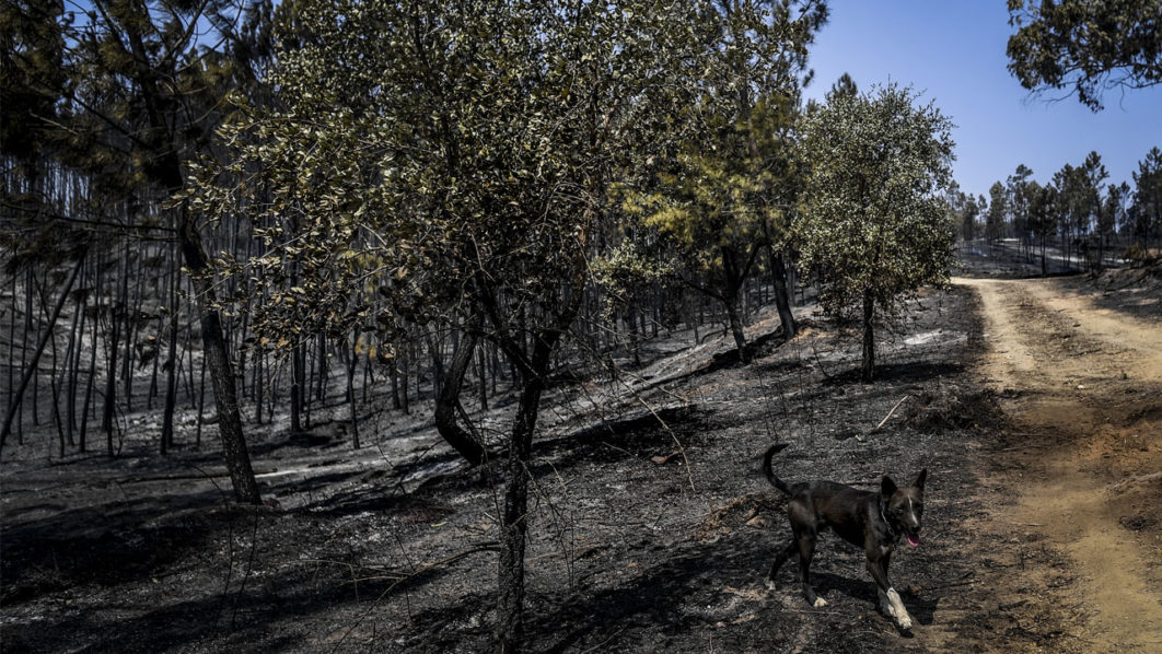 PORTUGAL-WILDFIRE
