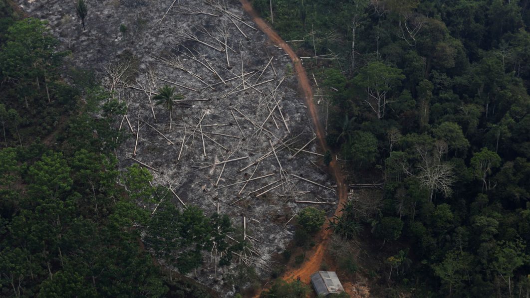 FILE PHOTO: An aerial view of a deforested plot of the Amazon at the Bom Futuro National Forest in Porto Velho