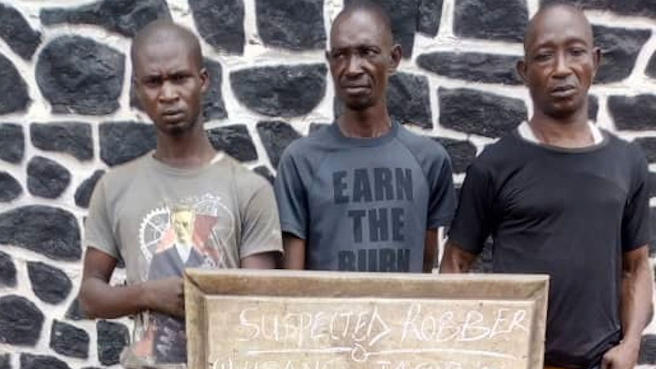 Ogun-police