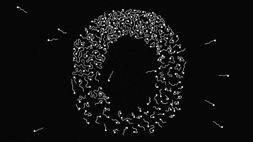Web_Sperms