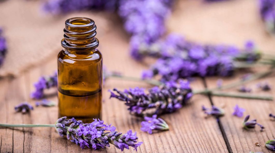 lavender-oil