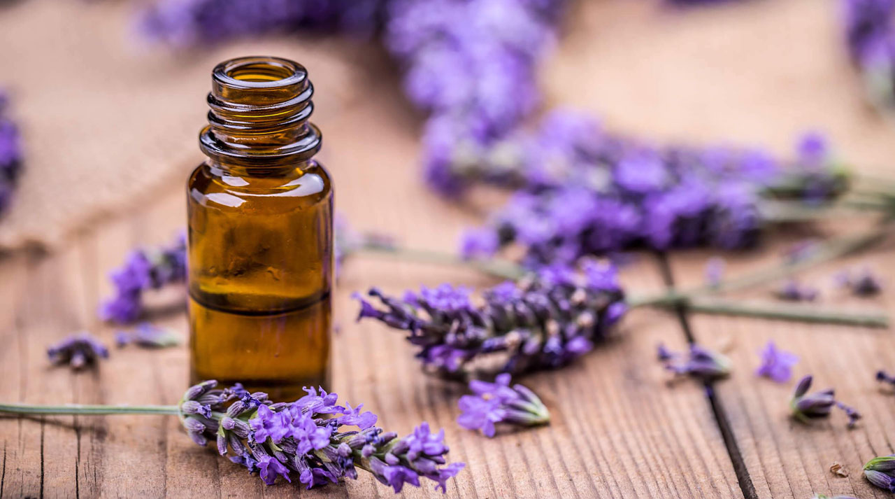 lavender-oil