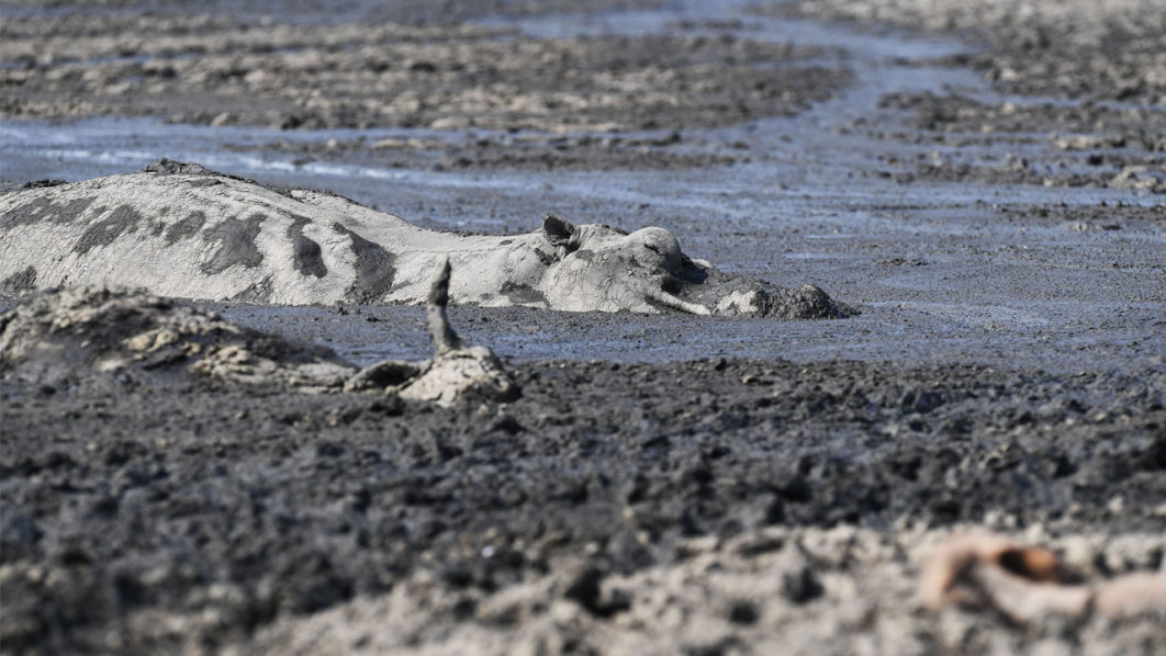 BOTSWANA-DROUGHT-CLIMATE