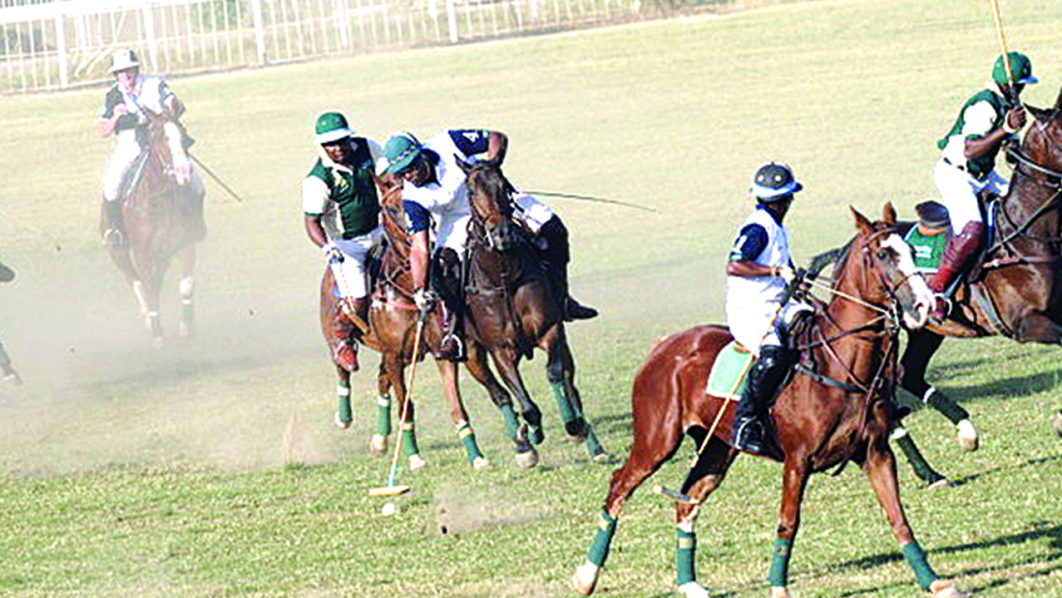 Polo