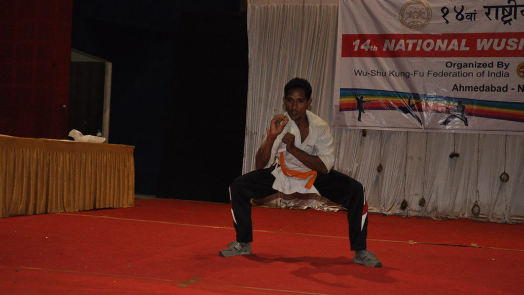 Wushu Kung-Fu Federation