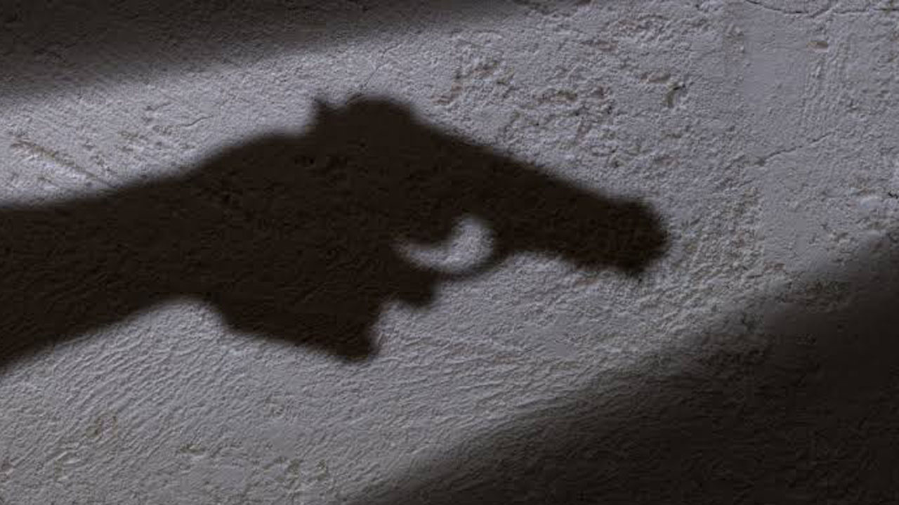 gun