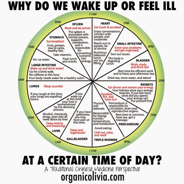 Chinese Medicine Perspective. Photo Organicolivia