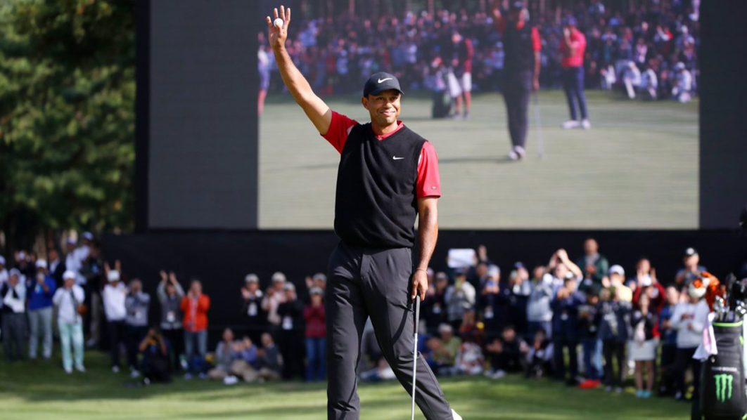 Tiger woods