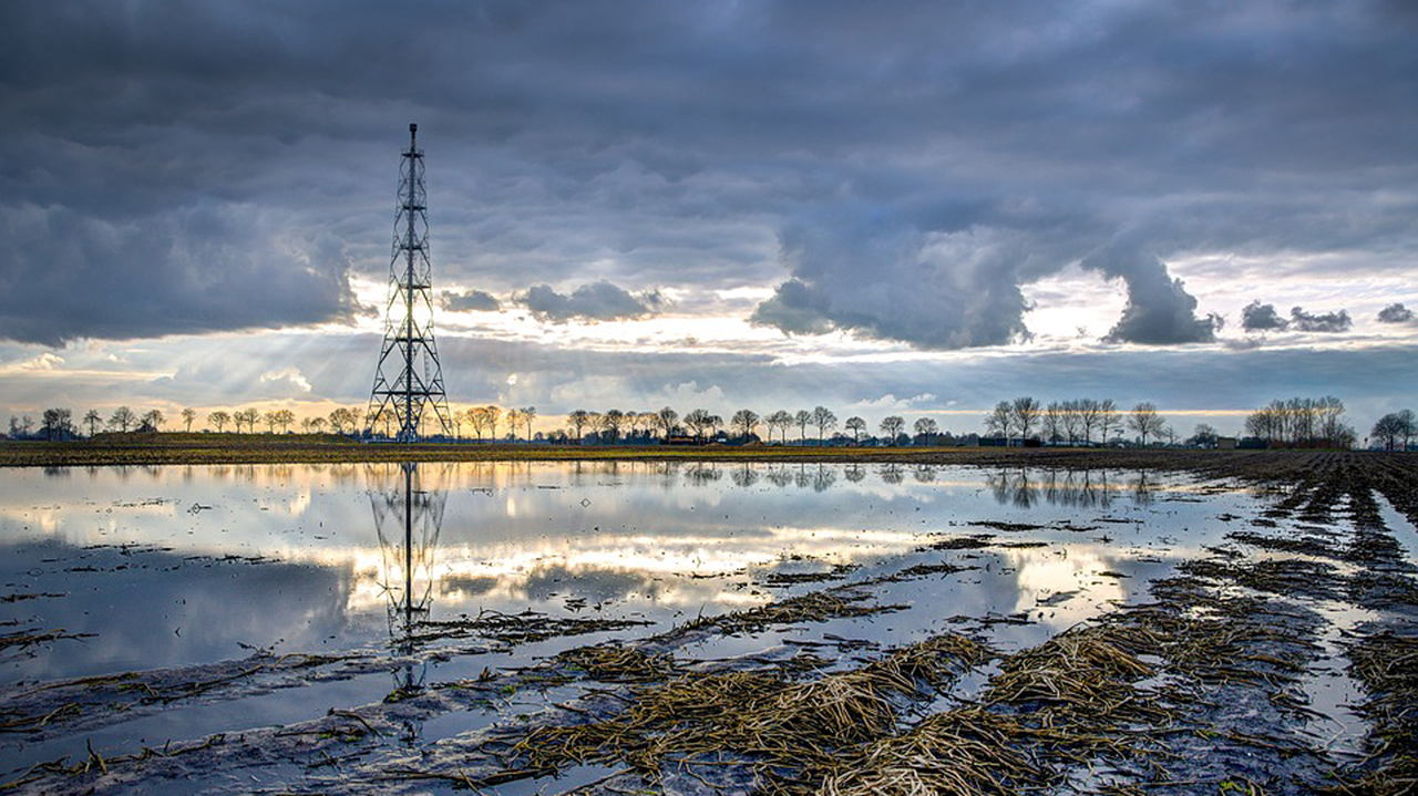 water oil