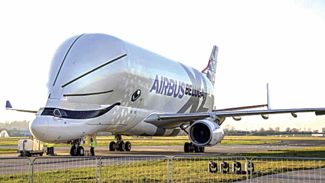 Beluga