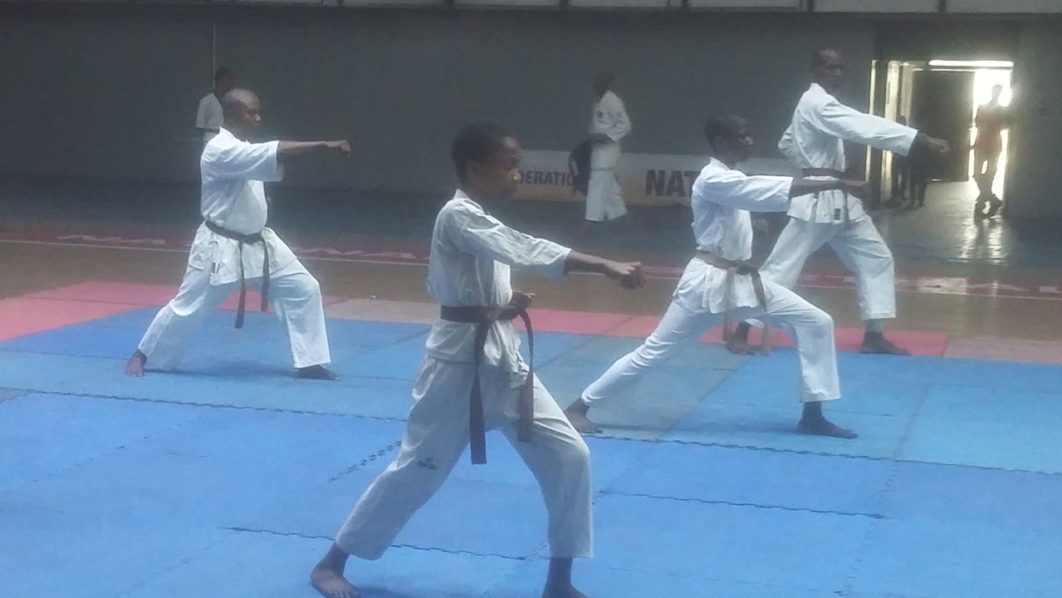 Shinto Ryu Karate