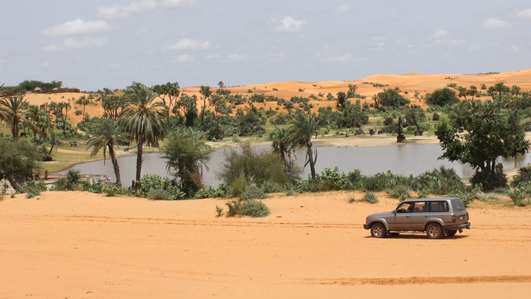 The Sahel in the Savannah – Image -Muhammad Umara