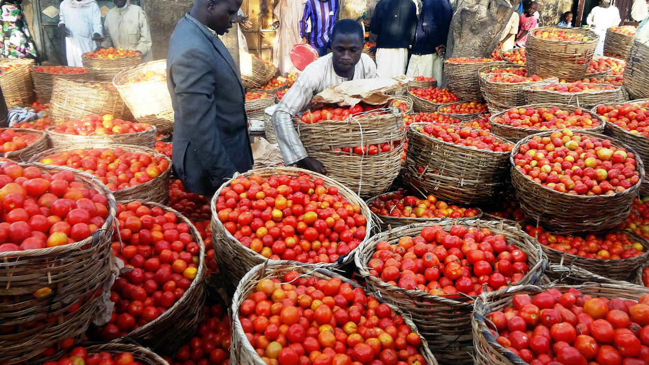 Tomato-scarcity