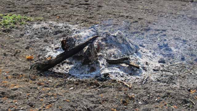 burnt-to-ashes