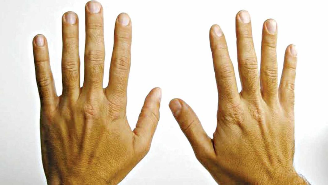 fingers