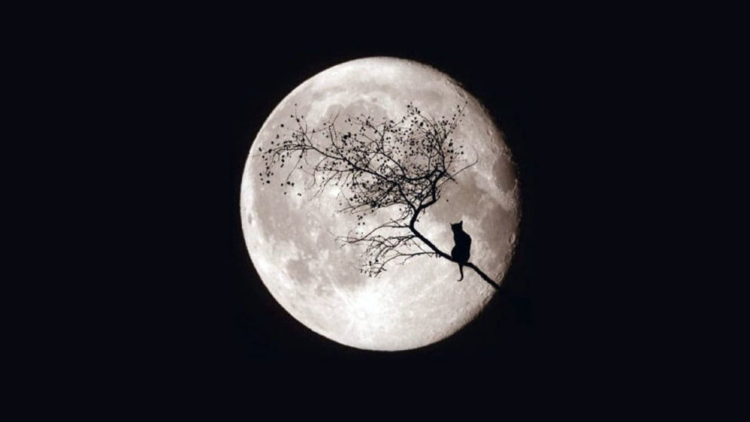 night
