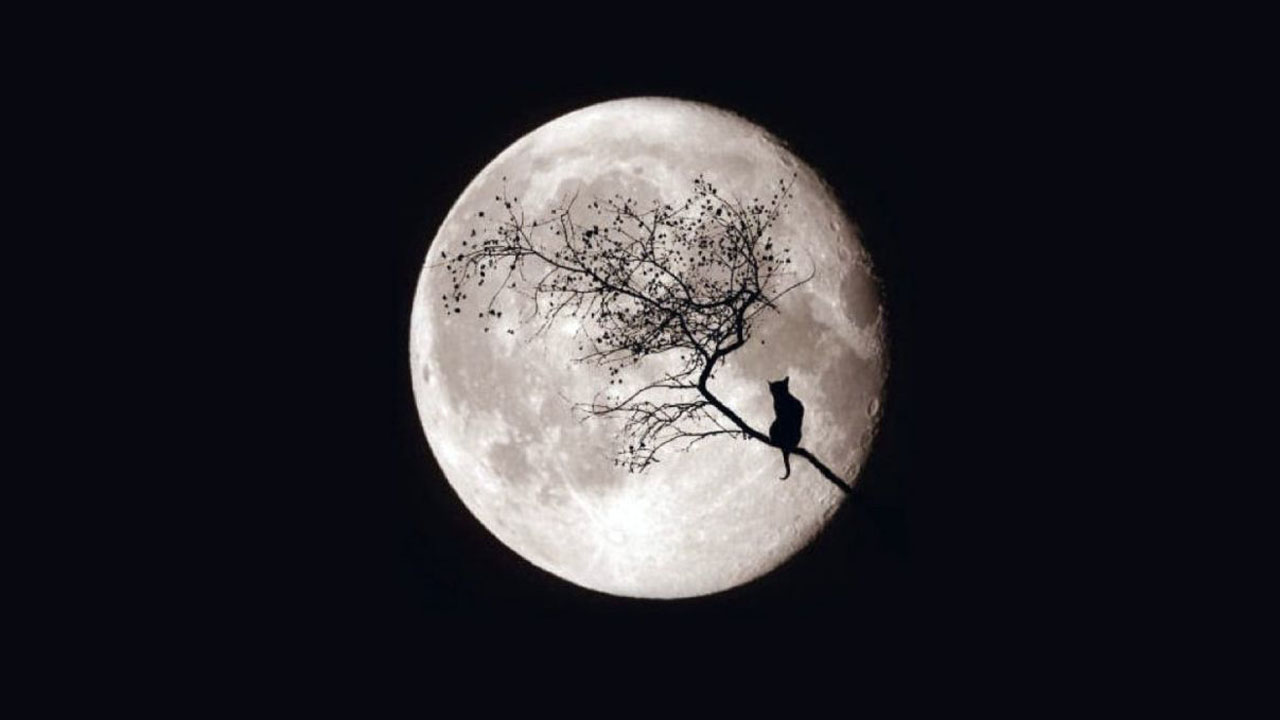night
