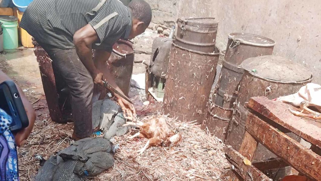 processing-site-at-olayele-market