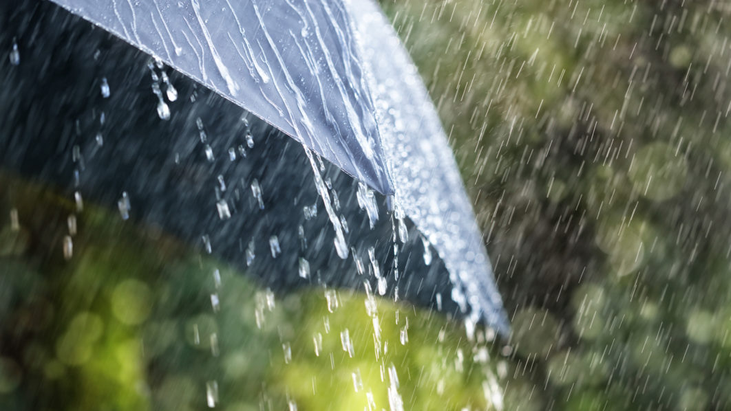 Rain on umbrella
