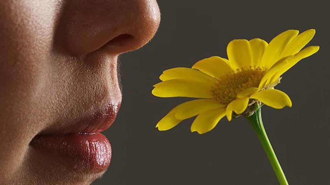 sense-of-smell