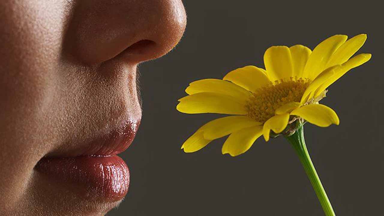 sense-of-smell