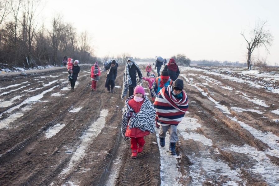 migrants