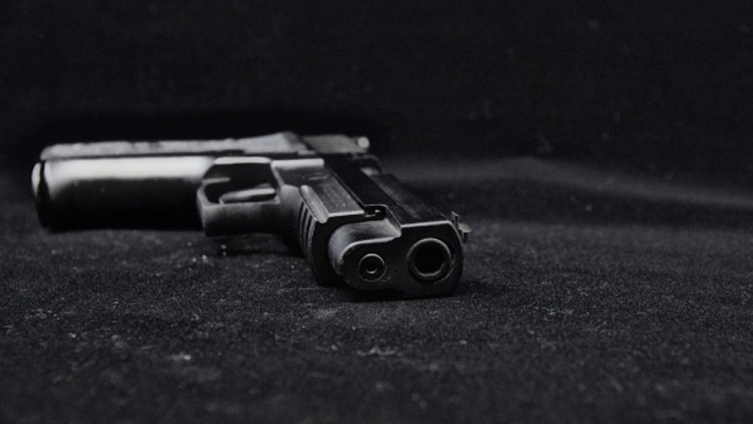 Gun