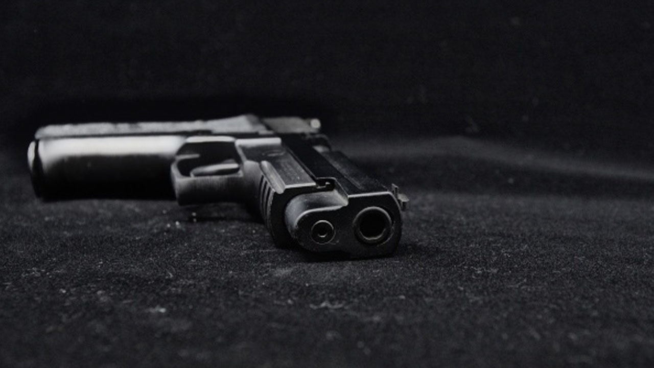 Gun