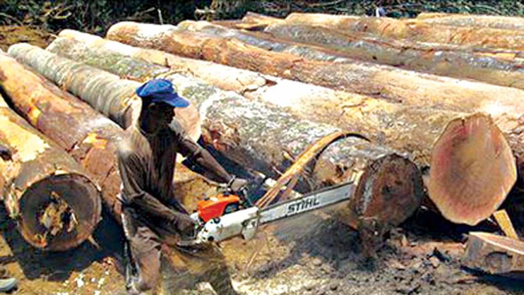 Logging
