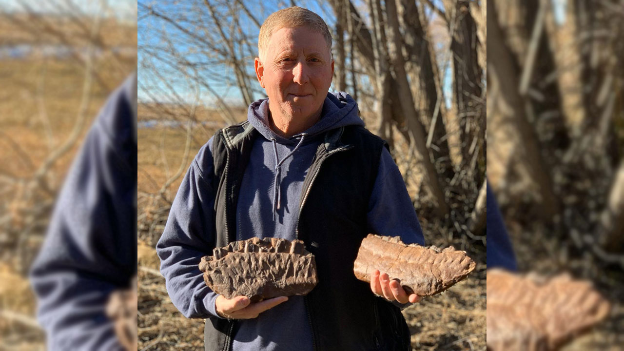 Photo - John De Groot