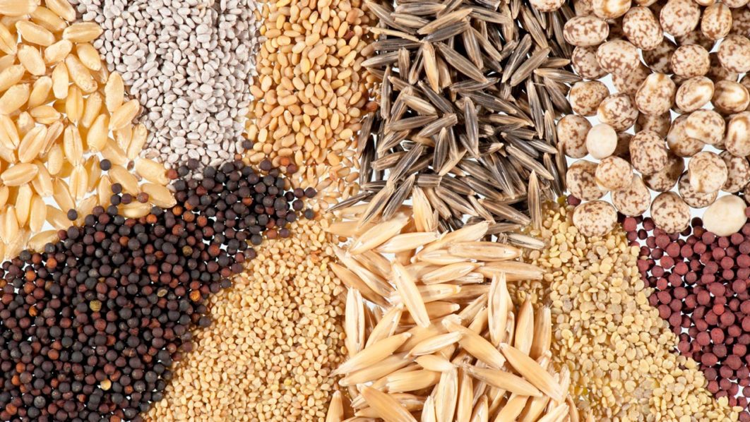 Seeds