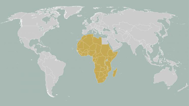 africa