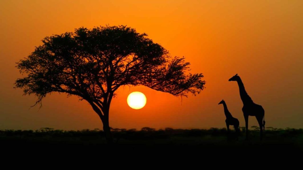 africa