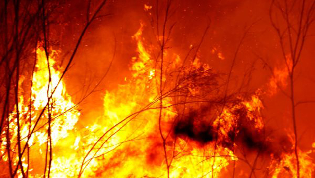 Evacuations Begin Following East Gippsland Bushfires