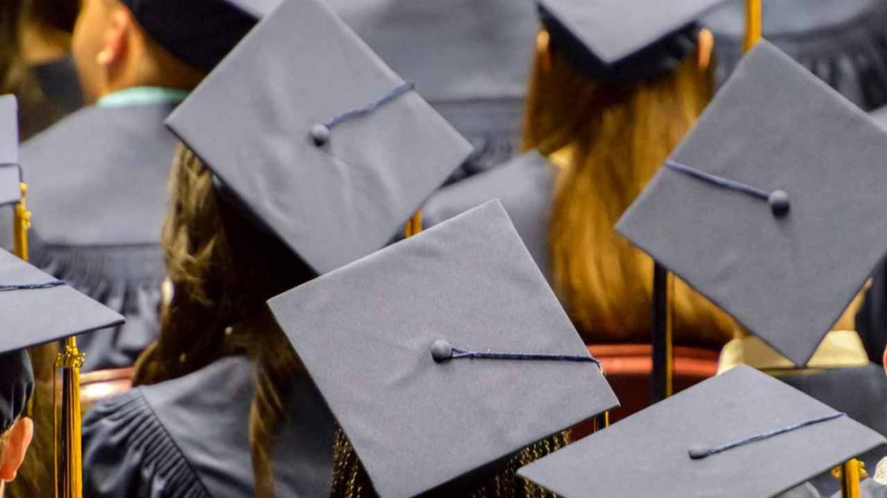 higher-education