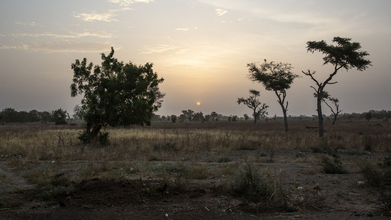 CAMEROON-ECONOMY-AGRICULTURE-LIVESTOCK