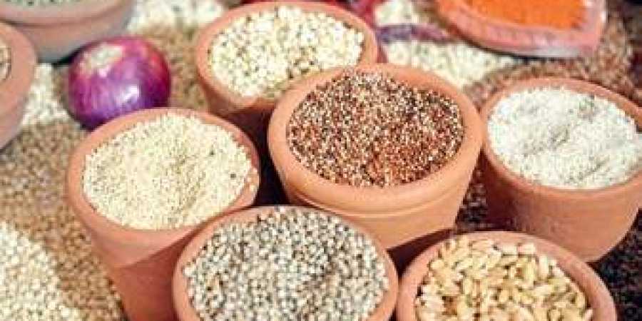 Millet