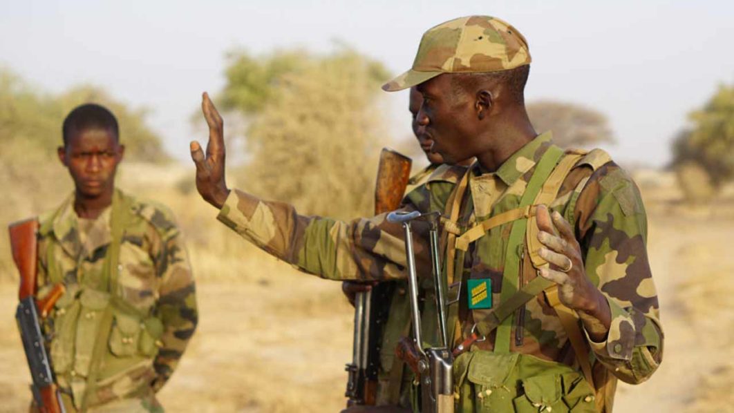 Niger-army