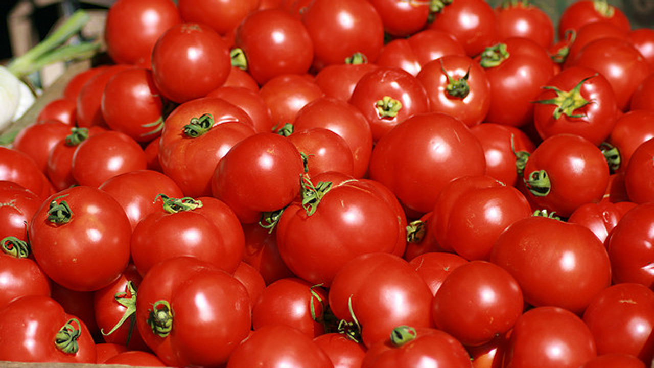 Tomato