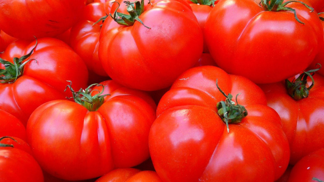 tomatoes