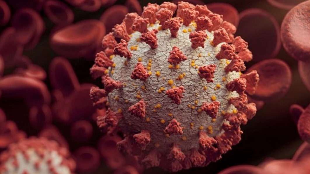 Coronavirus