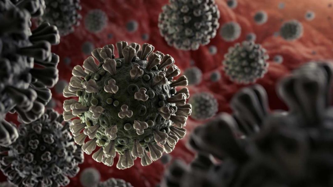 corona-virus